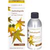L'Erbolario Ambraliquida Fragranza Per Legni Profumati 250 ML
