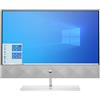 HP Pavilion 24-k0000nd Intel Core i5-10400T 23.8" - 8 GB - 1 TB HDD + 256 GB SSD - Windows 11 Home - Buono