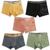 keeppley Pokemon Charmander Charizard Bulbasaur Gengar Pikachu Mutande da uomo Anime Boxer antibatterici Ragazzi Pantaloncini Pantaloni Regali