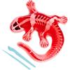 Simba Scout Dissect-It Salamandra da sezionare, 14 cm, Scheletro e organi da assemblare, Set di Ricarica, Attrezzi, dai 5 Anni in su