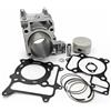 LG-MOTORS POWER ENGINEERING 0303583 - KIT GRUPPO TERMICO CILINDRO PISTONE COMPLETO PER FORZA 300 2013-2017 FORZA 300 ABS 2013-2019 FORZA 300 ABS TOP CASE 2016 SH 300 A I ABS 2007-2019 SH 300 I 2007-2010
