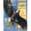 Ann Cooper Eagles: Hunters of the Sky (Tascabile) Wonder Series