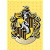 Harry Potter: Hufflepuff Embellished Card (Cards) HP Card