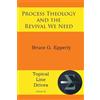 Bruce G Epperly Process Theology and the Revival We Need (Tascabile)