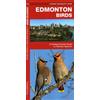 James Kavanagh Edmonton Birds (opuscolo) Nature Observation North America