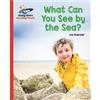 Lou Kuenzler Reading Planet - What Can You See by the Sea? - Red B: (Tascabile)