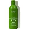 ZIAJA Linea di olio d'oliva (shampoo rigenerante)