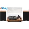 Giradischi Vinile, Giradischi Sistema Hifi Bluetooth, Vintage Lettore Vinile Con