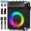 Sistema Audio Con 2 Microfoni, Cassa Karaoke Professionale Ricaricabile Bluetoot