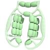 KAIYUEMAOYI Rullo Massaggiante per Gambe con 24 Ruote, Massaggiatore Completo per Braccia, Collo E Schiena. Realizzato in Materiale PP Leggero, Ideale per Viaggi, Verde