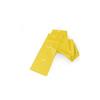 Sissel Band Fit Physiotherapy Resistance Band