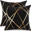 Miuyunya Federe Cuscini Divano Nero 40x40 Velluto Fodere per Cuscini Decorativi Cuscino Moderno Set di 2 Dore Copricuscini Decorativi per Soggiorno Camera Letto Auto Letto Esterno Interno