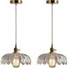 ENTHERONIC 2 confezioni moderne lampade a sospensione a forma di fiore in vetro smerlato E27 retrò luci da soffitto per interni luci a sospensione decorative per la casa regolabili per corridoio cucin