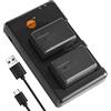 DSTE Set di 2 caricabatterie VW-VBT190 (2300 mAh/3,7 V) compatibili con Panasonic HC-V160, HC-V180, HC-V260, HC-V270, HC-V520, HC-V520M, HC-V530, HC-V550, HC-V550M, HC-V520M, HC-V520M, HC-V530,