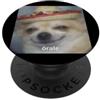 Funny Chihuahua Dog Spanish Meme Arts (Ó Órale, simpatico e divertente chihuahua con cane sombrero sfocato meme PopSockets PopGrip Adesivo