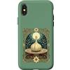 Nowruz, Farvardin Gifts Vernal Equinox T Custodia per iPhone X/XS Haft Sin Seer Antico Simbolo di Guarigione e Protezione
