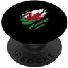 Cymru Pride Graphics Distressed Galles Flag Dragon Wales Pride Cymru PopSockets PopGrip Adesivo