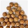 Il Contadino - Antichi Sapori | NOCI DI MACADAMIA | Confezione Salva Freschezza, Frutta Secca di Qualità Premium, No Conservanti, Al Naturale (500g)