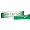 PROFESSIONAL DIETETICS SpA AMINOGAM 6 GEL
