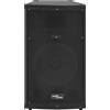Syfax Altoparlante da Palco Hifi Professionale Passivo 1000 W Nero