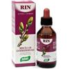 OMEOSALUS ZEFIRUS RIN LINEA GEMME