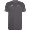 Audi Maglia Ufficiale Audi Formula 1 Pilota Uomo Grigia M, L, XL, XXL