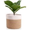 Oradrem Cesto per piante in corda di cotone, moderno, tessuto per vasi da fiori da 25,4 cm, per interni, organizer, cesti, decorazione per la casa, 27,9 x 27,9 cm, marrone/bianco