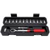 mingzhe Set Chiavi Dinamometriche per Bicicletta Attacco da 3/8 Pollici 5-25 NM Angolo di Oscillazione 5° con Lega di Acciaio Cromato per Autoveicoli, (Kit Riparazione Bici da 1/4 (-25N).)