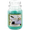 Price's Candles - Candela in Giara Grande Spa Moments - Durata Fino a 150 ore di Combustione
