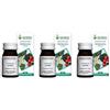 Arcangea Withania 60 Capsule 3x60 pz