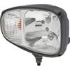 HELLA 1EE 996 174-261 Lampadine-Faro principale, Combi 220, 12V, Montaggio, esterno, Spina Spina DEUTSCH, anteriore Dx