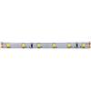 Levitantes Striscia LED2835 24V 4,8W/m300L/5mIP654000K