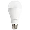 Garza - Lampadine LED standard, luce fredda 6500K, attacco E27, 18 W 1850 lumen, 461056