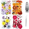 Cayway 4 Pacco Fiori Secchi per Resina Naturali Pressati Fiori Pressati Secchi, Fiori Secchi Fiori Pressati Secchi Naturali per Candele Fai Da Te Gioielli Resina Partecipazion, Stile A