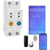 VChics Monitoraggio dell'energia del contatore, Guida DIN monofase WI-FI Smart Energy Meter Detail Protection Remote Leggere KWH WattMeter Control Voice Control Alexa Installazione semplice Facilmente leggib