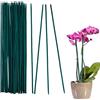 LeFeirr Bastoncini di Supporto per Piante - 30 Pezzi 30 cm Bastoncini da Giardinaggio Resistenti alle Intemperie Paletto di Piante Verdi per Fiori Piselli Verdure