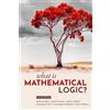 Guillermo Badia John N. Crossley John C. Stil What Is Mathema (Copertina rigida)
