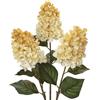 Briful Set di 3 ortensie artificiali come veri fiori di hesbstflowers pannocchia, ortensie, 73 cm, fiori decorativi bianchi, rami artificiali per composizione floreale casa resto autunno