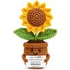 Aurasky Girasole all'Uncinetto con Messaggio Positivo - Peluche Portafortuna di Incoraggiamento e Supporto Morale - Idea Regalo Confortante per Compleanno, Natale, Esami o Momenti Difficili