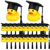 PW TOOLS 12/24 Pz Paperelle di Gomma di Laurea con Cappello di Laurea, con Cappello di Laurea, di Gomma da Bagno per Festa di Laurea, per Regali di Laurea Decorazione Bomboniere