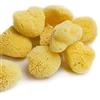 Home Supplies Direct HSD Natural Artists Sea Sponge Confezione da 10 Pittura ad acquerello