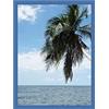 RK Cadres Cornice su Misura 15x40 o 40 x 15 Cornice portafoto Blu Navy, 3 Centimetri di Larghezza