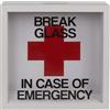 BLUECHOLON Salvadanaio Legno Viaggio Fondo di Emergenza. Salvadanaio Monete Break Glass In Case of Emergency (20 x 20 x 5 cm).