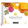 ZUCCARI SRL WATER FIRST ANANAS-PAPAYA-PASSION FRUIT 12 STICK PACK