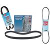 Dayco 15355 Cinghia del ventilatore