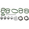 TBVPARTS Kit anulare piccioncini del collettore di aspirazione 2.0 CDTI 1.9 TTiD Z19DTR 16V 55229190 55231588 55261564 55566912 55571993 5580012 849245 85076 4 93167076 93191642