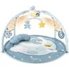 Chicco Gioco Enjoy Colors Playgym Blue 0 Mesi +