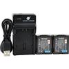 DSTE VW-VBG130 - Set di 2 batterie agli ioni di litio e caricabatterie micro USB, compatibile con Panasonic AG-HMC150 HMC153MC HMC70 HMR10 HMR10A HMR10E HMR10P HSC1U HDC-DX1 DX1-S DX1EG-S DX1GK