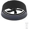 Cecotec - Ventilatori da Soffitto EnergySilence LampAero 650 Black Design - Paralume in Vimini, 20 W, Lampada Inclusa, Telecomando, Timer Fino a 8 Ore, 3 Velocità, 5 Pale, Estate/Inverno