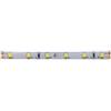 Levitantes Striscia LED2835 24V 4;8W/m 300L/5mIP656000K